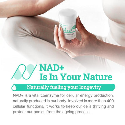 NR1000 - High Purity NAD+