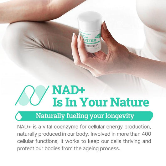 NR1000 - High Purity NAD+