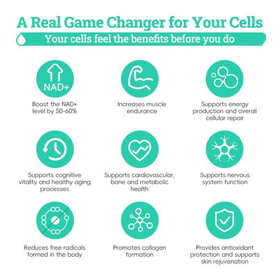 NR1000 - High Purity NAD+