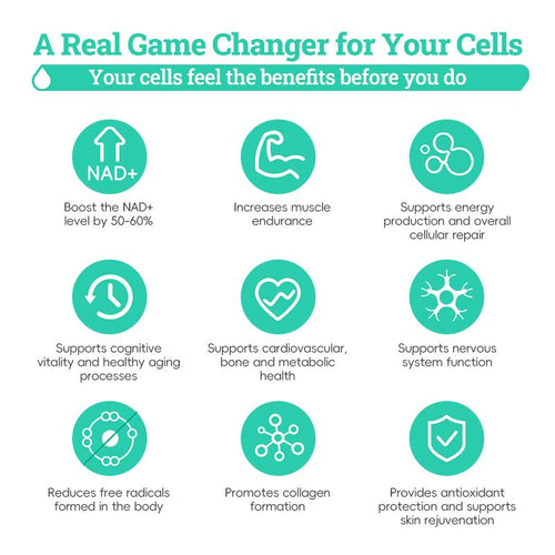 NR1000 - High Purity NAD+