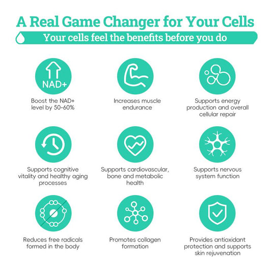 NR1000 - High Purity NAD+